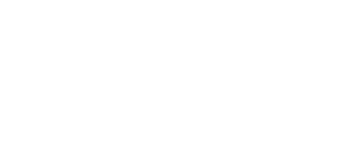 事業・活動